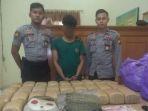 polres-pelalawan-amankan-30-kg-ganja.jpg