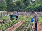 Wujudkan Ketahanan Pangan Berkelanjutan, Polsek Wetar Pelihara Kebun Tangguh
