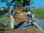 pompanisasi-sawah-karawang_20180817_114651.jpg