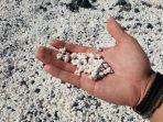 popcorn-beach.jpg