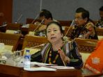 popong-otje-djunjunan_20170715_111045.jpg