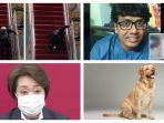 populer-internasional-joe-biden-tersandung-saat-naik-tangga-pesawat-anjing-pendeteksi-covid-19.jpg