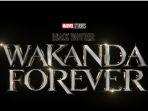 poster-black-panther-wakanda-forever.jpg