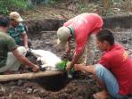 potong-kambing_20151019_121412.jpg
