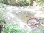 potongan-tubuh-manusia-di-sungai-kalibaru-hampir-membusuk_20160714_173332.jpg