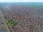 potret-kebakaran-hutan-dan-lahan.jpg