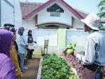 potret-petani-yang-mengikuti-project-upland-dari-kementerian-pertanian.jpg