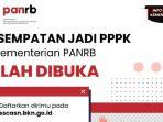 Link Formasi PPPK Kemenpan RB 2023, Buka 18 Formasi dengan Syarat Ini