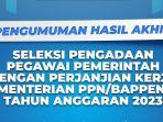 pppk-kementerian-ppnbappenas-2023.jpg