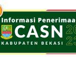 pppk-pemkab-bekasi-2023-876876.jpg