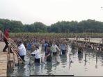 prabowo-jokowi-nyebur-tanam-mangrove.jpg