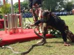 prajurit-komando-pasukan-khusus-kopassus-ad_20171005_192057.jpg