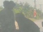 preman-kampung-salah-mangsa-yv.jpg