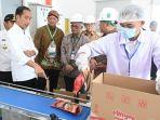 presiden-joko-widodo-jokowi-mvv.jpg