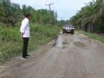 presiden-joko-widodo-mengecek-jalan-rusak-di-sialang-taji.jpg