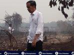 presiden-joko-widodo-meninjau-lokasi-kebakaran-hutan-d.jpg