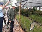 presiden-joko-widodo-tanam-pohon.jpg
