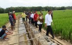 presiden-jokowi-bangun-saluran-irigasi_20150120_202956.jpg