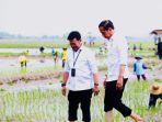 presiden-jokowi-didampingi-mentan-syl-lakukan-percepatan-tanam-padi-di-tuban.jpg