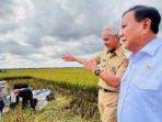 presiden-jokowi-kunjungan-kerja-tinjau-panen-raya-padi-di-kebume_20230309_124811.jpg