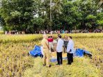 presiden-jokowi-kunjungan-kerja-tinjau-panen-raya-padi-di-kebume_20230309_124912.jpg