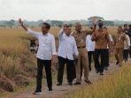 presiden-jokowi-kunjungan-kerja-tinjau-panen-raya-padi-di-kebume_20230309_125030.jpg