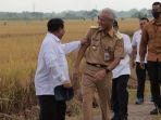 presiden-jokowi-kunjungan-kerja-tinjau-panen-raya-padi-di-kebume_20230309_125153.jpg