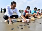 presiden-jokowi-melepas-tukik-di-pantai-kemiren-cilacap_20210923_201954.jpg