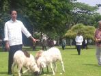 presiden-jokowi-nih2_20160827_132602.jpg