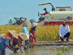 presiden-jokowi-tinjau-lokasi-tanam-dan-panen-di-desa-kanigoro_20210429_174756.jpg