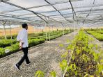 presiden-jokowi-tinjau-pembangunan-infrastruktur-kawasan-ikn_20221027_074401.jpg