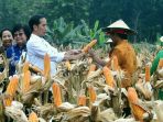 presiden-jokowi_20180309_160355.jpg