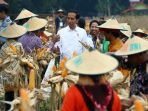 presiden-melakukan-panen-raya-bersama-petani-penerima-kur-bni_20180309_211518.jpg