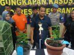 pria-ditangkap-karena-tanam-pohon-ganja.jpg