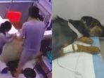 pria-siksa-anjing-8102019.jpg