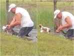 pria-tua-selamatkan-anak-anjingnya-dari-terkaman-aligator.jpg