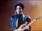 prince_20160423_202204.jpg
