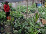 program-akselerasi-petani-muda.jpg