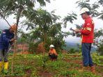 program-penghijauan-56.jpg