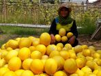 program-petani-muda-panah-merah_20190426_164814.jpg