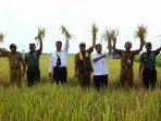 program-selamatkan-rawa-sejahterakan-petani-serasi.jpg