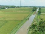 progres-proyek-peningkatan-dan-rehabilitasi-jaringan-irigasi.jpg