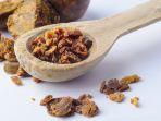 propolis.jpg