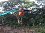 proses-evakuasi-korban-gantung-diri-di-pohon-datangkan-ekskavator.jpg