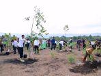 proses-penghijauan-di-ibu-kota-nusantara-ikn-r.jpg