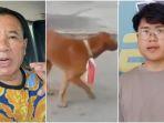 psosok-rh-tersangka-yang-dibela-hotman-paris-terjerat-kasus-kalungkan-bendera-merah-putih-ke-anjing.jpg