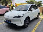 pt-neta-auto-indonesia-neta-sebagai-agen.jpg