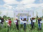 pt-pupuk-kalimantan-timur-pupuk-kaltim-terus-berkomi.jpg