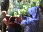 ptm-50-persen-di-sdn-014-pondok-labu_20220204_151410.jpg