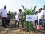 PTPN IV Regional I Klaim Lampaui Target Lahan Peremajaan Sawit Rakyat